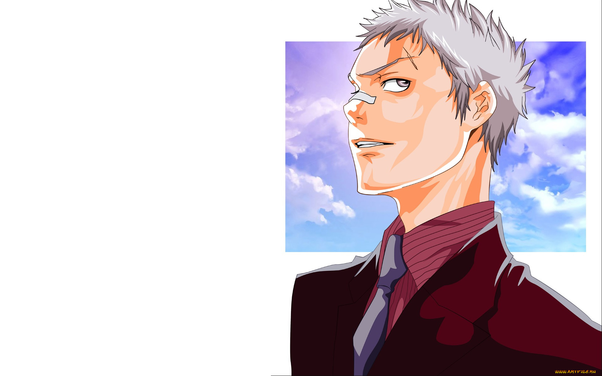 , katekyo hitman reborn, 